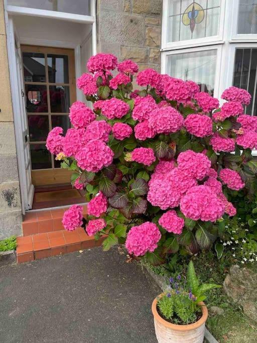 Kelvinside, Seahouses, 2 Minute Walk Into Village 외부 사진