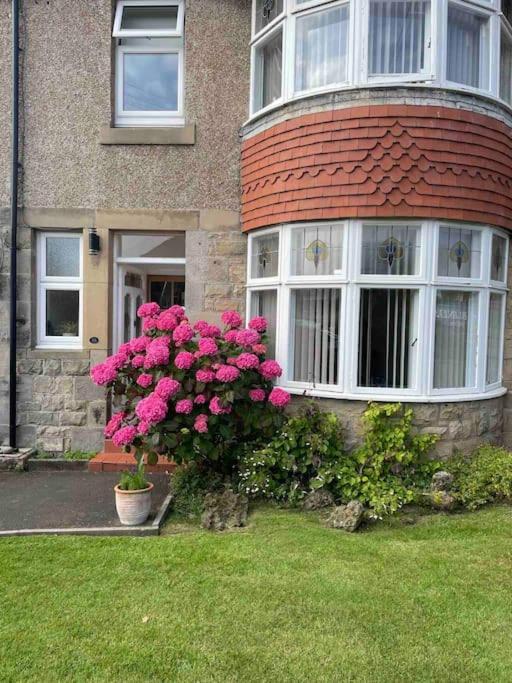 Kelvinside, Seahouses, 2 Minute Walk Into Village 외부 사진
